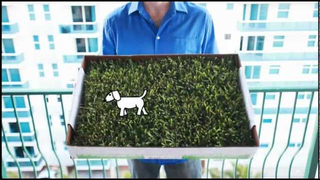 If You Can Buy Yourself a Squatty Potty, You Can Buy Your Dog This Grass